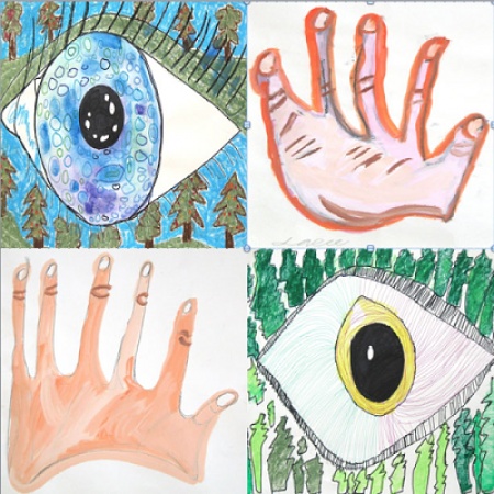 CATA - Eyes Hands