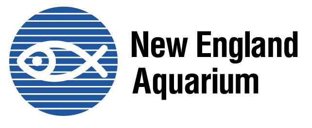 New England Aquarium Logo