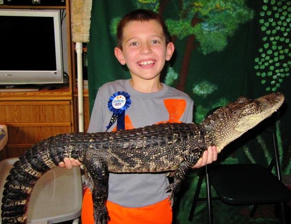 Critter Day: Reptiles