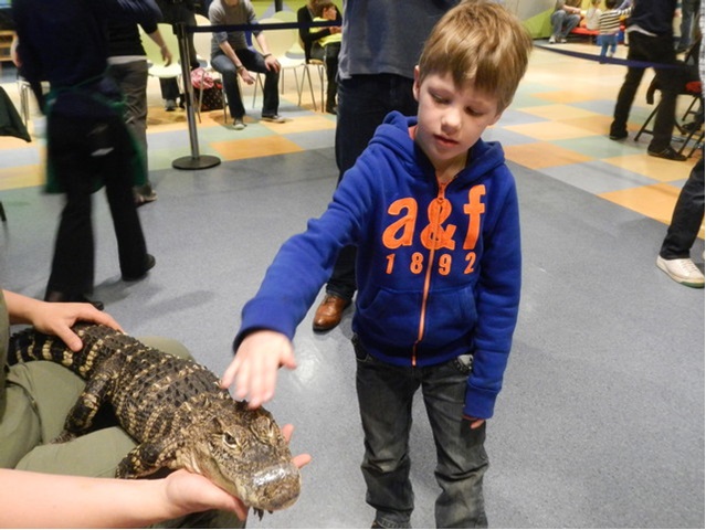 Boy Petting Reptile